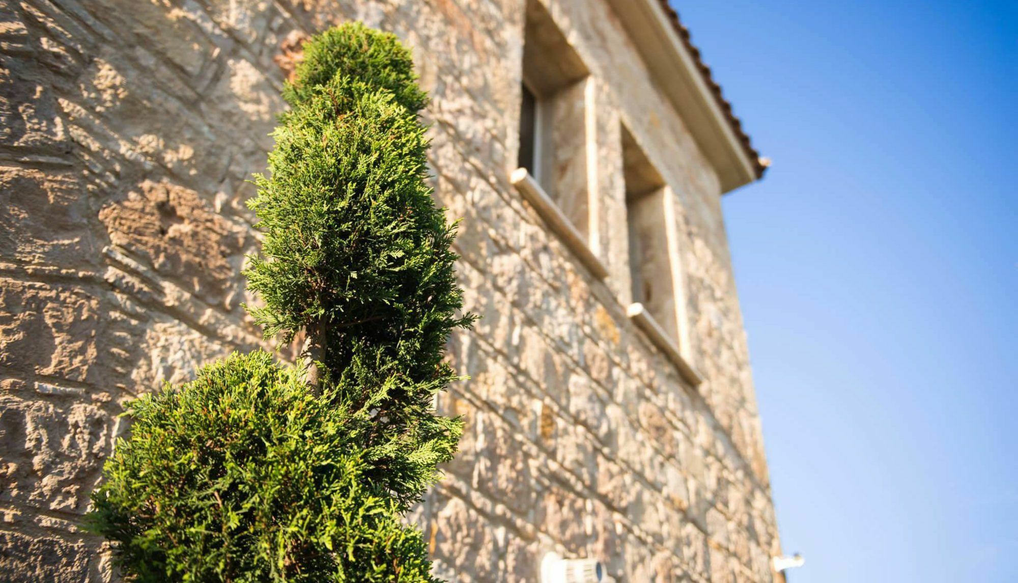 Villa Jaimi Пея Екстериор снимка